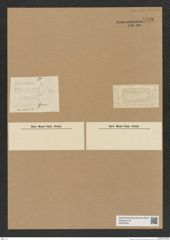 Diatomeae indet. Zeichnungen Sammlung Grunow Nr. 7728 (NHMW-BOT-W0376942)